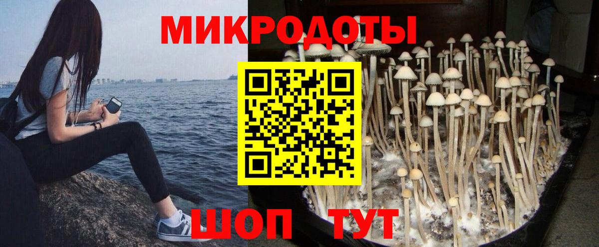 Верхняя Пышма  Псилоцибиновые грибы мухоморы  Вход с VPN 